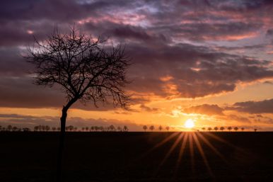 Sonnenuntergang am Haxterberg in Paderborn | Astrid Emmrich-Wanless